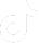 tiktok icon